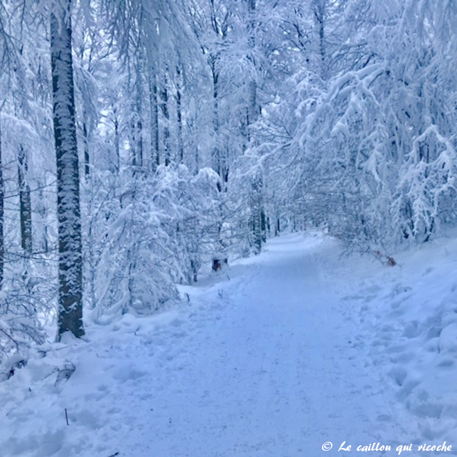 Chemin 44