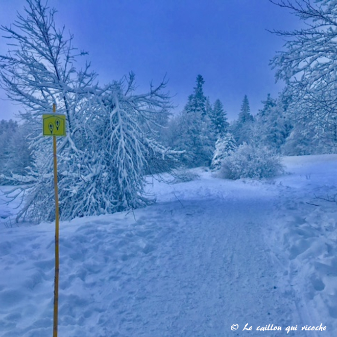 Hiver 40